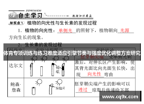 体育专项训练与练习难度适应引擎节奏与强度优化调整方案研究